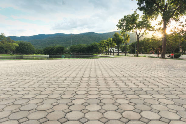 Best Affordable Driveway Pavers  in Coleytown, CT